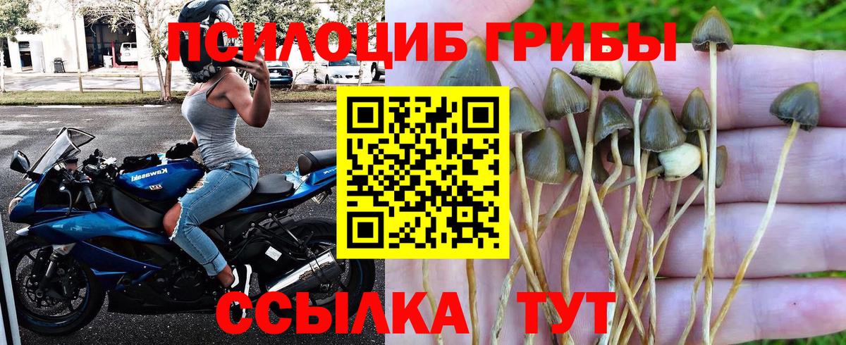 Галлюциногенные грибы GOLDEN TEACHER  Вход с VPN  Псилоцибиновые грибы Psilocybe  Оренбург 