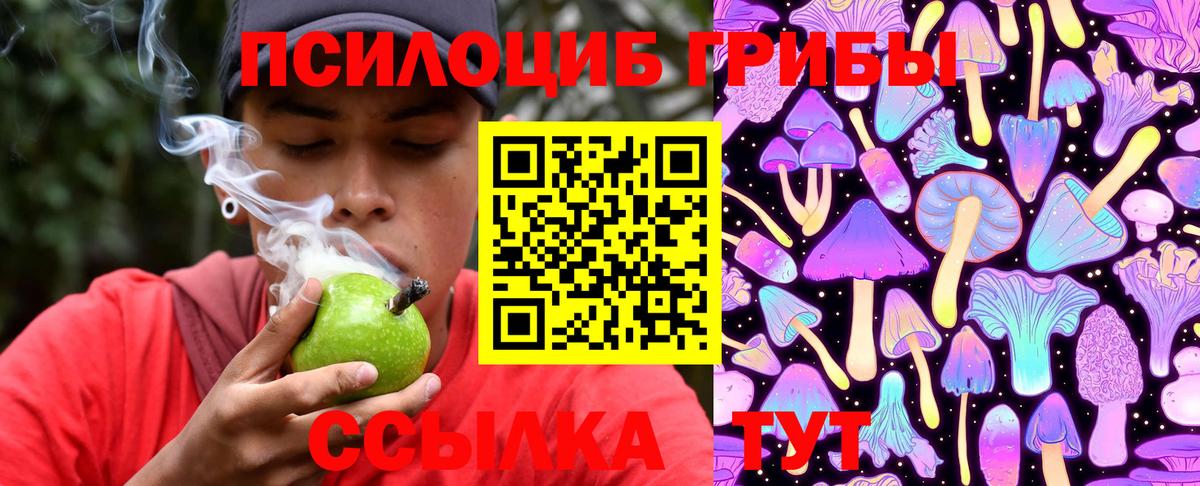 Галлюциногенные грибы прущие грибы Оренбург